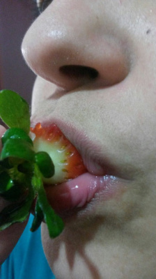 Taste of