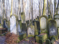 cmentarz żydowski 23