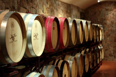 wino