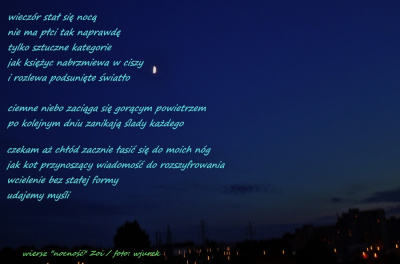noc Zoi