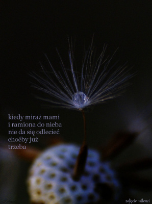 teraz