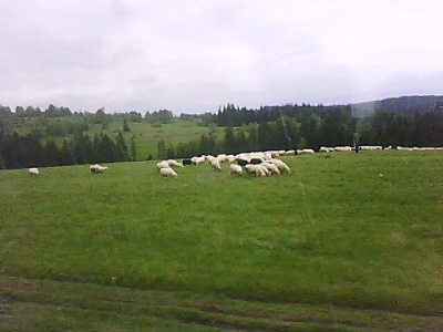 wycieczka