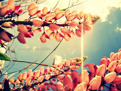 Beautiful World .