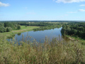 Rzeka Bug nad Drohiczynem