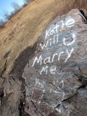 The Proposal