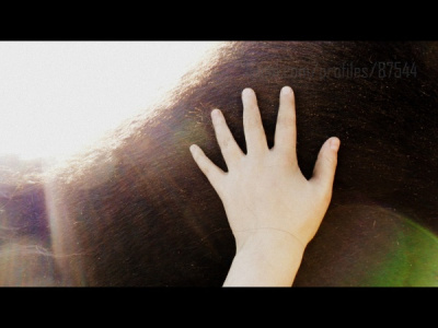 Goodbye ..