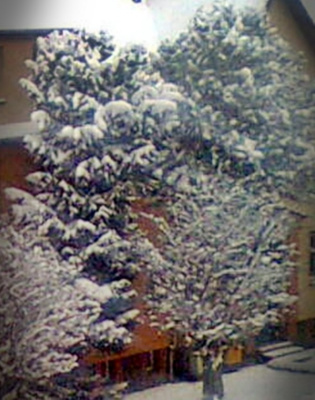 Uznam zima 2012
