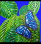 Motylki niebieski 2012