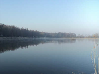 Mgła