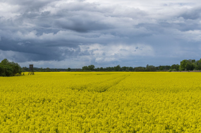 Klasycznie w maju:)