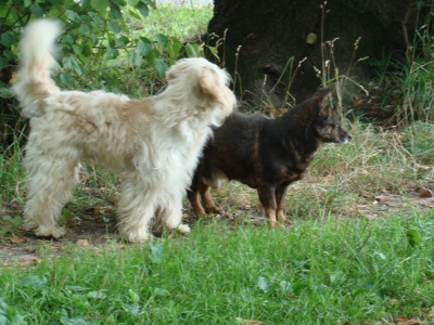 friends