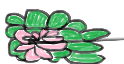 Lotus