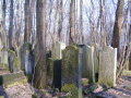 cmentarz żydowski 12