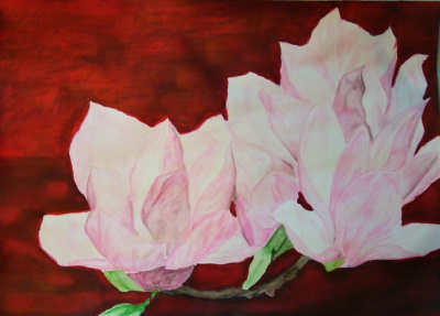 Magnolie