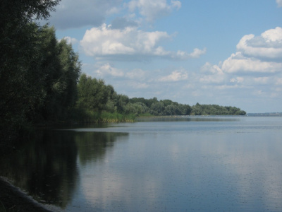 Tomisławice