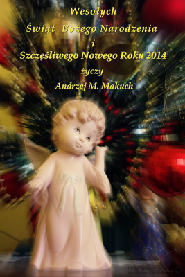 Wesołych Świąt !
