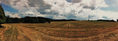 ściernisko