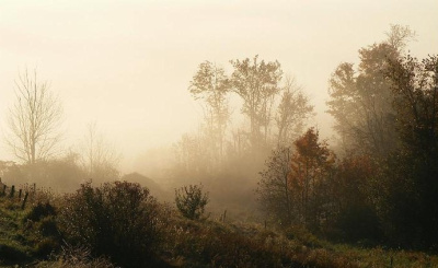 Foggy Dew