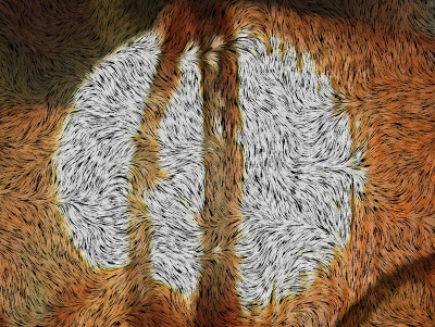 symulacja natury