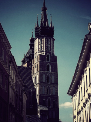 rynek.