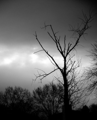 Overcast