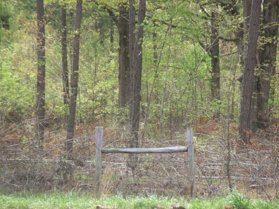 Farm Fence