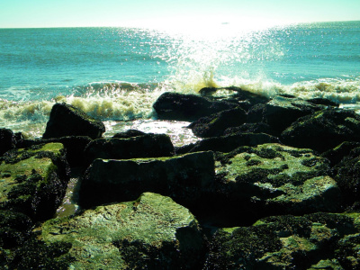Blue Sea