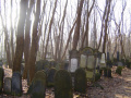 cmentarz żydowski 11