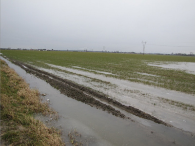 tą porą