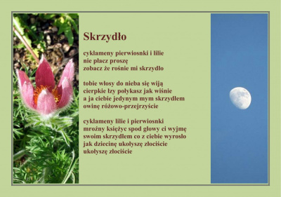 Skrzydło