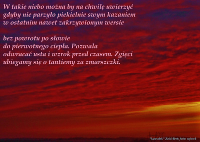 kawałek nieba