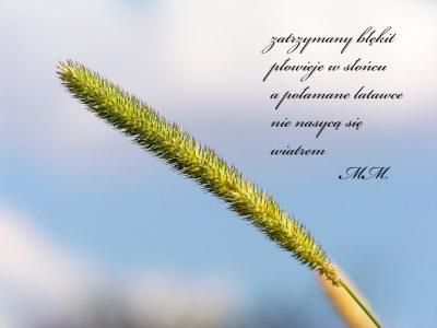 Wielki błękit panoszy się między nami..