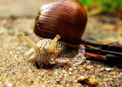 kiedy tak na mnie patrzysz jestem szybszy od wiatru