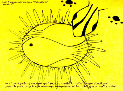 nasłonecznianie