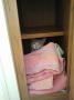 Crede My Cat Hiding