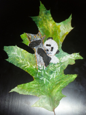 panda