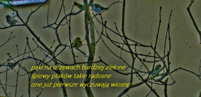 świeży powiew