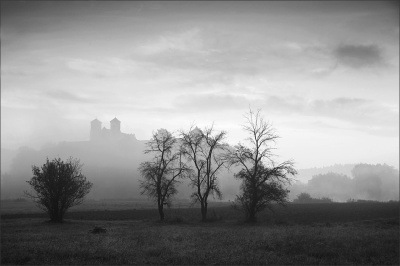Tyniec w szarościach