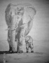 Słoń Afrykański