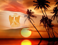temona elhawy