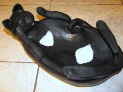 kot (poszkliwiony)