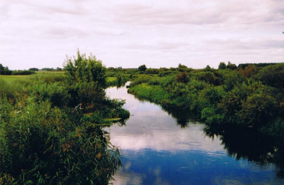 Gdzieś na Podlasiu