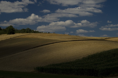 Koniec lata