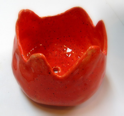 kwitną tulipany