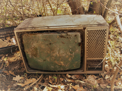 Leśna telewizja
