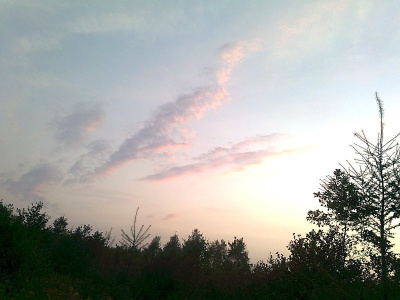 dinochmur