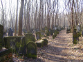 cmentarz żydowski 7