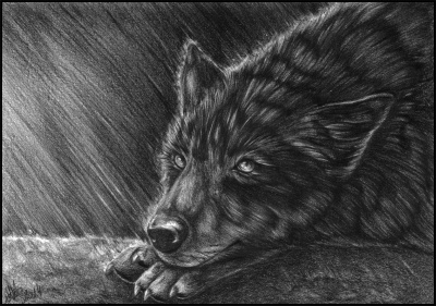 Under the Rain.