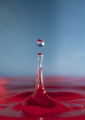 Splash