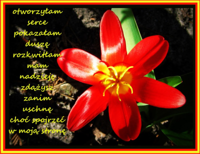 słońce